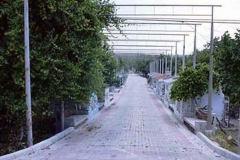 img-bahce-01