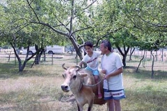 img-hayvanlar-10