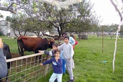 img-hayvanlar-28